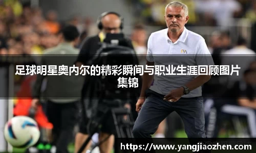 完美体育365官方网站